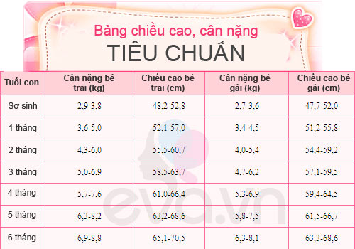 Mèo Ta Nặng Bao Nhiêu Kg? Cân Nặng Chuẩn & Các Yếu Tố Ảnh Hưởng