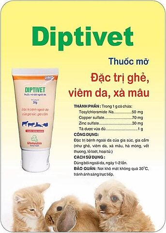 Mèo Bị Xà Mâu: Dấu Hiệu, Cách Trị Hiệu Quả