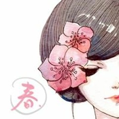 Mèo Ba Tư TFBOYS: Giải mã sự kết hợp thú vị