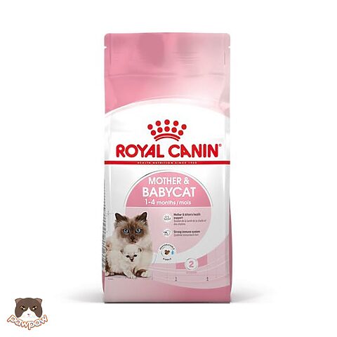 Hạt Royal Canin cho Mèo Anh Lông Ngắn: Hướng dẫn chi tiết