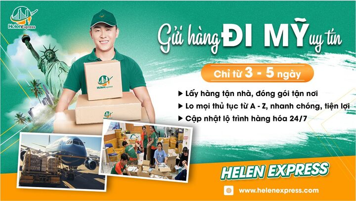 Giá & Địa Chỉ Mua Mèo Rừng Na Uy Uy Tín