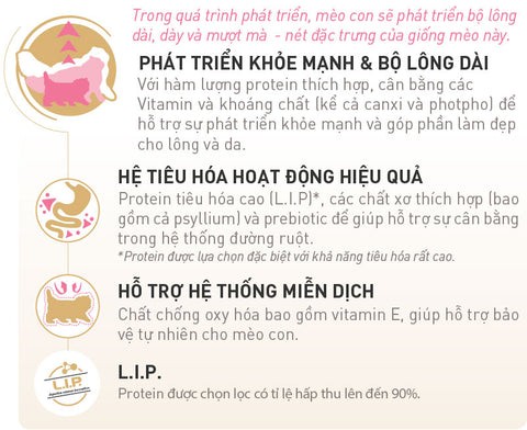 Review Royal Canin Persian Cho Mèo Ba Tư 400g Mới Nhất