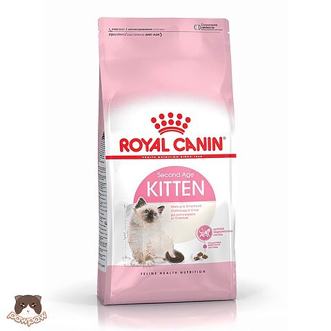Hạt Royal Canin cho Mèo Anh Lông Ngắn: Hướng dẫn chi tiết