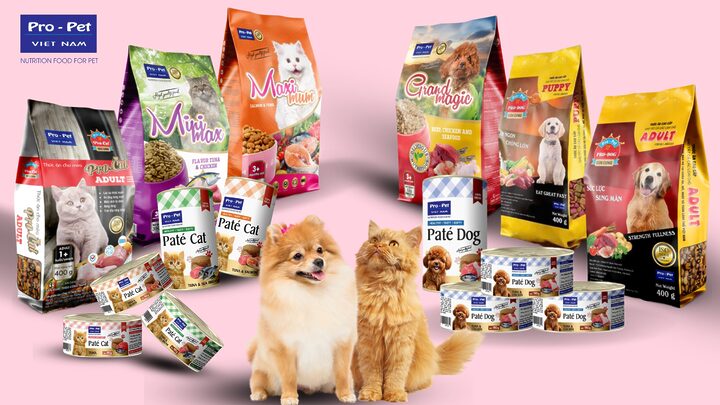 Mèo bị thiếu chất dinh dưỡng: Dấu hiệu, nguyên nhân & cách khắc phục