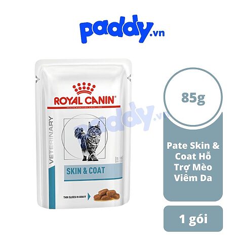 Viêm da rụng lông ở mèo: Nguyên nhân, dấu hiệu và cách điều trị