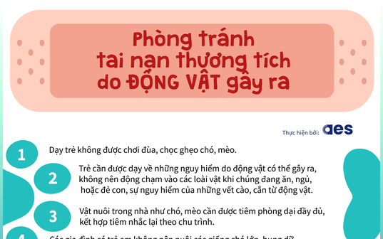 Nhận biết thương tích chú mèo khi bị tai nạn