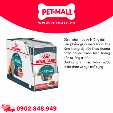 Pate Mèo Anh Lông Dài: Lựa chọn Dinh Dưỡng Toàn Diện