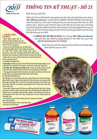 Những dấu hiệu rõ rệt mèo bị giảm bạch cầu cần biết