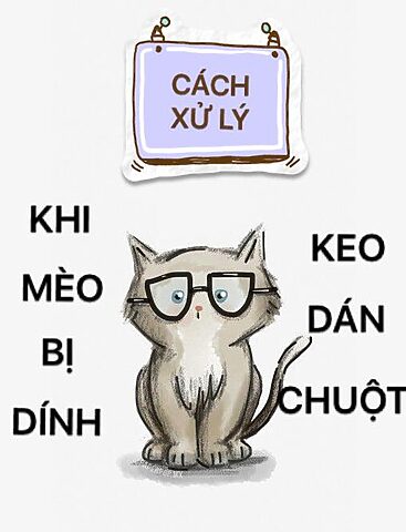 Mèo Bị Dính Keo Dán Chuột: Hướng Dẫn Chi Tiết