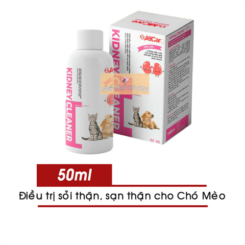 Cách Điều Trị Mèo Bị Sạn Thận Hiệu Quả