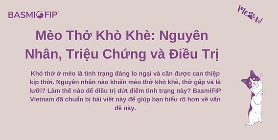 Mèo Bị Khò Khè: Nguyên Nhân, Triệu Chứng & Cách Điều Trị