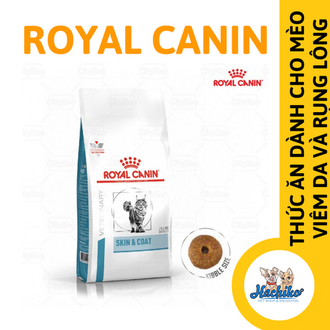 Viêm da rụng lông ở mèo: Nguyên nhân, dấu hiệu và cách điều trị