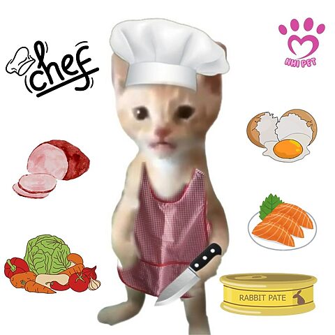 Cách làm pate cho mèo Anh lông dài ngon và bổ dưỡng tại nhà