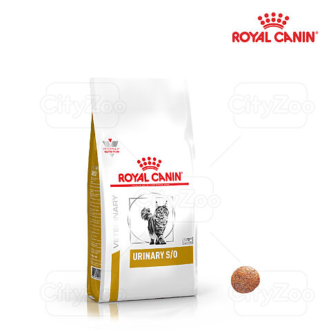 Thức ăn cho mèo bị bệnh thận: Lựa chọn & Chăm sóc tốt nhất