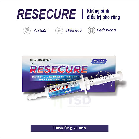 Mèo bị nhiễm khuẩn đường ruột: Tuyệt đối không uống sữa