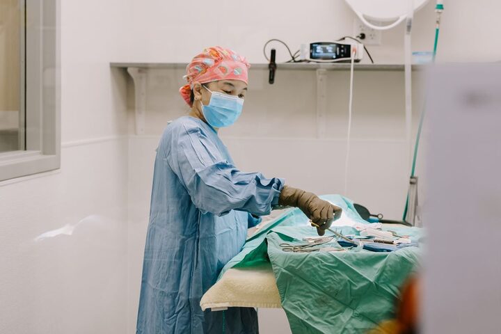 Hướng dẫn Tìm Số Điện Thoại Hỗ Trợ Mèo Ba Tư