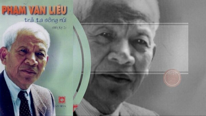 Cách Cứu Mèo Bị Treo Cổ Khẩn Cấp