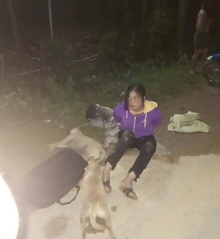 Trộm mèo bị đánh chết: Hệ lụy pháp lý và xã hội