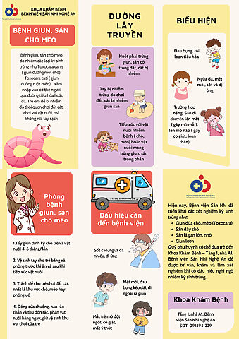 Mèo Bị Bệnh Đường Ruột: Dấu Hiệu, Nguyên Nhân, Cách Chữa