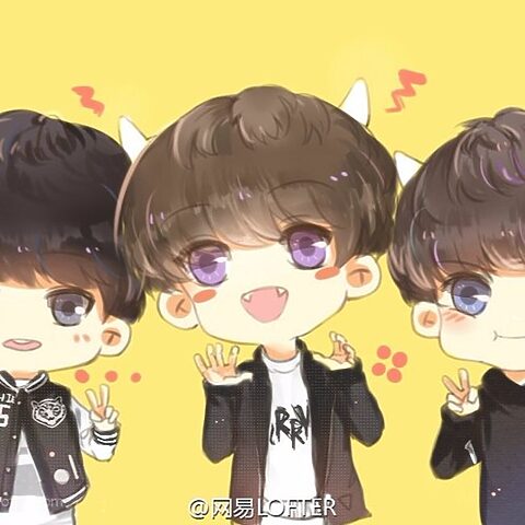 Mèo Ba Tư TFBOYS: Giải mã sự kết hợp thú vị
