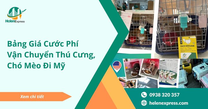 Bảng Giá Mèo Anh Lông Ngắn Chi Tiết & Các Yếu Tố Ảnh Hưởng