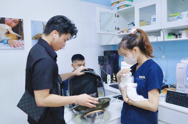 Mèo bị sặc nước: Nguyên nhân, cách xử lý và phòng ngừa hiệu quả