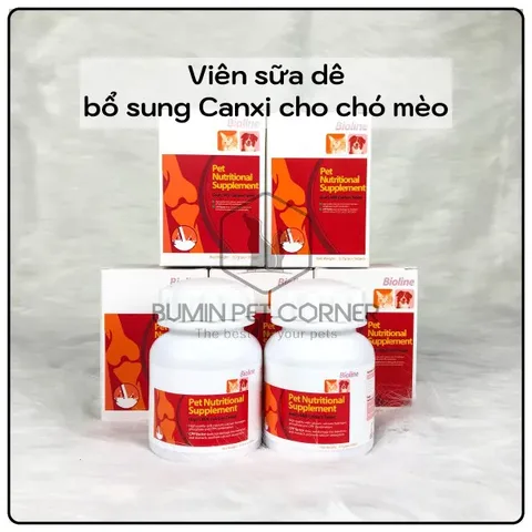 Mèo bị trúng thuốc có nên cho uống sữa không