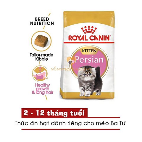 Royal Canin Persian Kitten 400g cho mèo Ba Tư