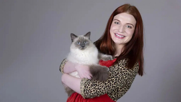 Giá Mèo Ragdoll Rẻ: Hiểu Đúng Để Có Bạn Đồng Hành Khỏe Mạnh