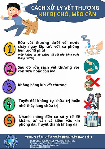 Chó Mèo Bị Phon Đòn Gánh: Giải Mã Triệu Chứng Bất Thường