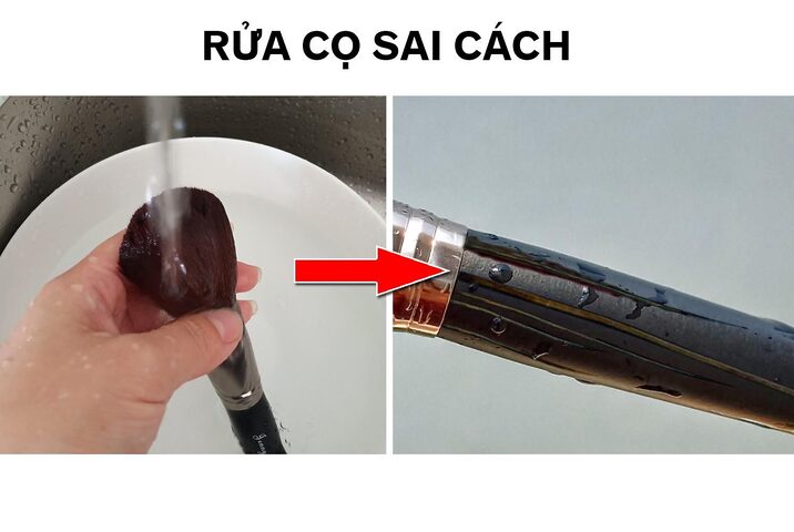 Mèo Bị Ngộ Độc Advil: Dấu Hiệu, Xử Lý & Phòng Ngừa