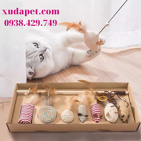 Giải Pháp Đồ Chơi Cho Mèo Ngứa Răng Hiệu Quả