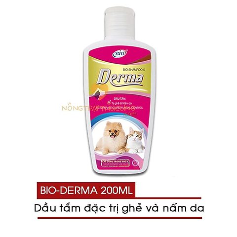 Tắm cho mèo bị nấm: Cách làm đúng và hiệu quả