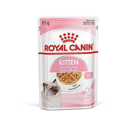Review Thức ăn Royal Canin Persian Kitten Mới Nhất