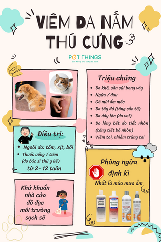 Cách Điều Trị Cho Mèo Bị Nấm Toàn Diện