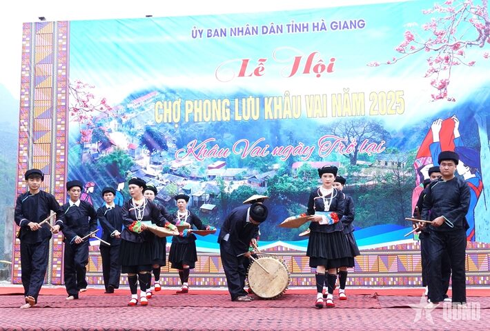 Cao mèo rừng có tác dụng gì? Thông tin chi tiết