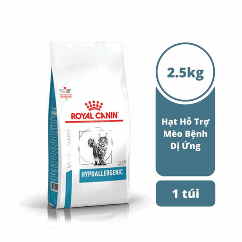 Mèo bị dị ứng: Dấu hiệu, nguyên nhân và cách điều trị