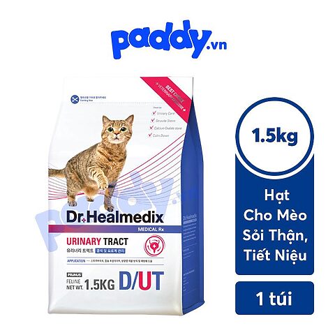 Hạt Cho Mèo Bị Thận: Chế Độ Dinh Dưỡng Tối Ưu