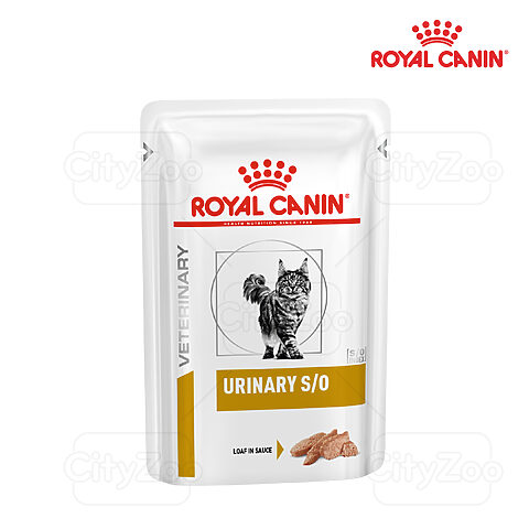 Thức ăn cho mèo bị bệnh thận: Lựa chọn & Chăm sóc tốt nhất