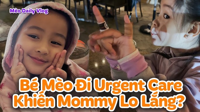 Tôi Là Con Mèo Bị Đình Chỉ: Hiểu & Giúp Mèo Yêu