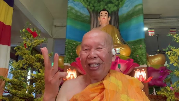 Hành Vi Mèo Sau Thiến: Những Thay Đổi 'Hài Hước' Thường Thấy