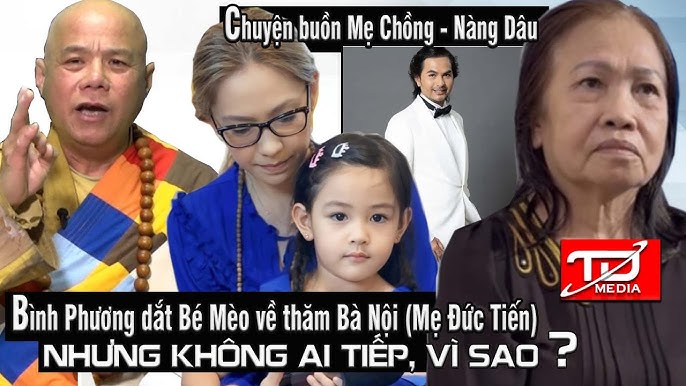 Nhận biết mèo bị nội thương: Dấu hiệu quan trọng cần biết