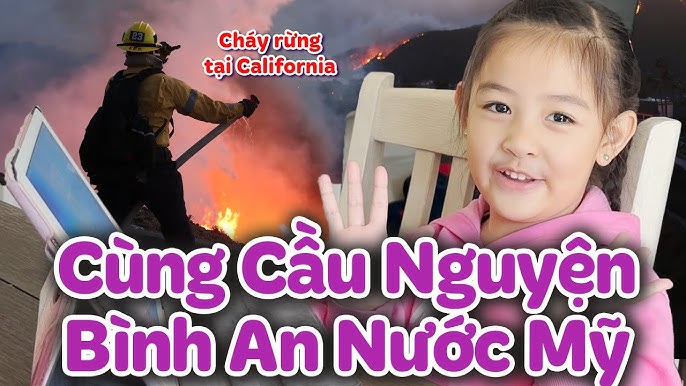 Mèo chảy nước bộ phận sinh dục: Dấu hiệu và cách xử lý