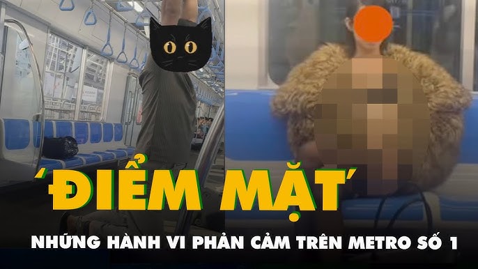 Giải mã hành vi 'khùng' ở mèo: Nguyên nhân và giải pháp