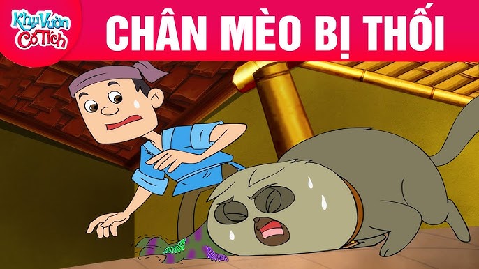 Nguyên nhân và cách xử lý khi chân mèo bị thối