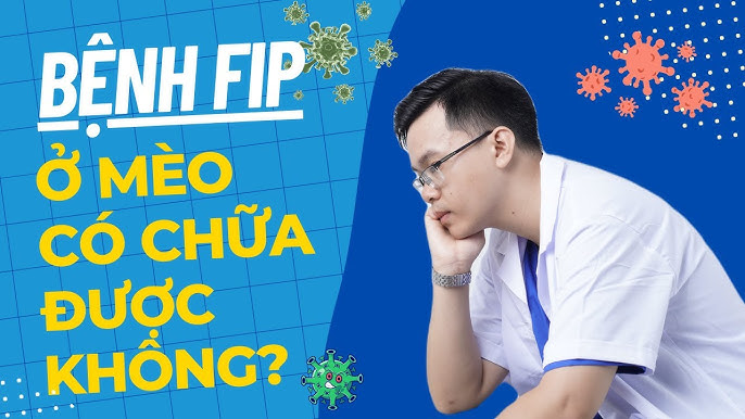 Cách chữa mèo bị ken mắt: Nguyên nhân, triệu chứng, điều trị