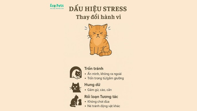 Mèo Bị Hóc Dị Vật: Dấu Hiệu Và Cách Xử Lý Khẩn Cấp