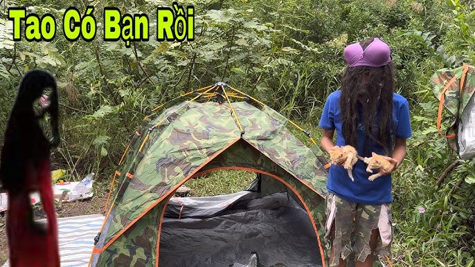 Võ của mèo rừng và nghệ thuật sinh tồn