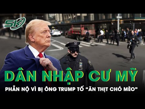 Giải Mã Niềm Tin Ăn Thịt Mèo Bị Mèo Nhập