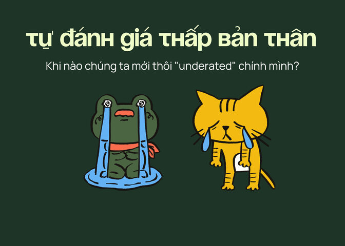 Giá bán mèo ta lai: Chi tiết & các yếu tố ảnh hưởng